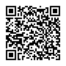 QR Speedicath Flex Mini 1x Kath Ch14 33cm Mann 30 Stück buy online