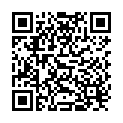 QR Nippes spare blades callus plane buy online