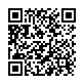 QR Piksters Kink 0 Silver 8 Stück buy online
