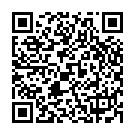 QR Herba Haarbürste M Holzstift Klein Buchenholz FSC buy online