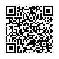 QR Flawa rescue blanket 210x160cm buy online