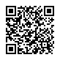 QR Ha-ra duster 32/32cm gray border turquoise buy online