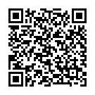 QR Ha-ra Ersatz-Griff Zu Stiel U Teleskopstange buy online