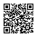 QR Bz Stab für Hair Curler Lockenwick buy online
