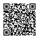 QR Bz Foundationpinsel Vegan Birkenholz FSC Zert buy online