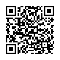 QR Bz Lippenpinsel Vegan Birkenholz FSC Zert buy online