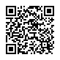QR Peha-soft Nitrile Guard XL 100 Stück buy online