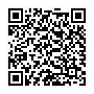 QR Huebner Silicea Gel mit Biotin Haare&haut 500ml buy online