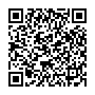 QR Foliodress Suit Comfort Shirt XL Grün 37 Stück buy online
