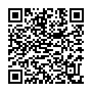 QR Speedicath Flex 1x Katheter Ch14 33cm Mann 30 Stück buy online