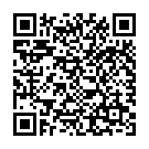 QR Bomix Plus Instrumentendesinfektion Flasche 2L buy online