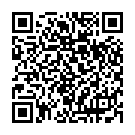 QR Sempermed Syntegra Green Handschuhe Grösse 8.5 Steril 50 Paar buy online
