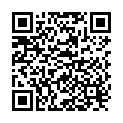 QR Sonnentor Chai Sirup Flasche 250ml buy online