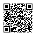 QR Sonnentor Chai Sirup 6 Flasche 250ml buy online