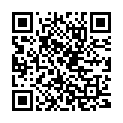 QR Holle Rosy Reindeer fruit tea Bio 20x 2.2g buy online