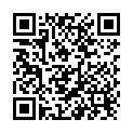 QR Peithora Bodyguard 6 Stück buy online