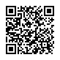 QR Ardo Tulips Brusthuetchen S Silikon Box 2 Stück buy online