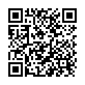 QR AROMA STICK olfactory pin 100% Bio Focus carton of 10 pieces