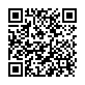 QR AROMA STICK olfactory pin 100% organic Calm carton of 10 pieces