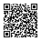 QR Dermaplast Active Uni Bauchbandage 2 85-110cm Höhe 24cm buy online
