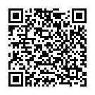 QR Sky green women's pillow 40x25cm Austria Classic buy online