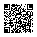 QR Sky green vein cushion 40x40cm mini flower buy online