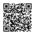 QR Herdegen Holzstock Braun Derby Leopard buy online