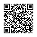 QR Herdegen Holzstock Dunkelbraun Fritz PVC buy online