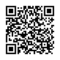 QR Herdegen Holzstock Bambusimitation Derby buy online