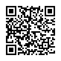 QR Nitrolingual Pumpspray (neu) 200 Dos buy online