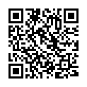 QR Reisenthel Toiletbag XL 4L Twist Silver buy online