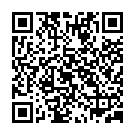 QR Bichsel Händedesinfektionsmittel Flasche 100ml buy online