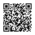 QR Bichsel Händedesinfektionsmittel Flasche 500ml buy online