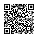 QR Humble Brush Mix Color Box Children 20 pieces buy online