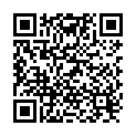 QR Trisa travel hair dryer Ionic Glamor buy online