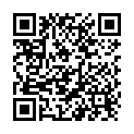 QR Fiesta Desinfektion Hände+gegenstaende 5L buy online