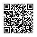 QR Fiesta Desinfektion Hände+gegenstaende Flasche 500ml buy online