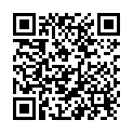 QR Apidis Orangenhonig Glas 500g buy online