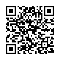QR Morga Gewürz Anis Ganz Bio Dose 500g buy online