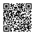 QR Ha-ra dog drying towel buy online