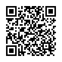 QR K2r Fleckenspray 500ml buy online