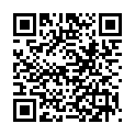 QR Webstar face protection visor buy online