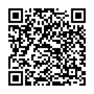 QR Incidin Liquid Flächendesinfektion Neu Flasche 1L buy online
