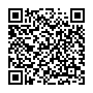 QR Duracell Batt Cr2032 3v Lithium B2 XL Blister 2 Stück buy online
