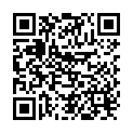 QR Philips Oslo Staubsaecke Hr 6938/10 6 Stück buy online