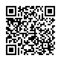QR Slb Guardian defense pin buy online