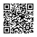 QR Slb Guardian Maxi foam buy online