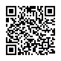 QR Nigrin Scheiben-Enteiser 500ml buy online