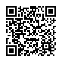 QR Spontex Auto 19x8x5cm 921.16 buy online