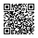 QR Kisag Blaeser Patronen 10 Stück buy online